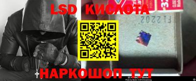 ПСИЛОЦИБИНОВЫЕ ГРИБЫ Свободный