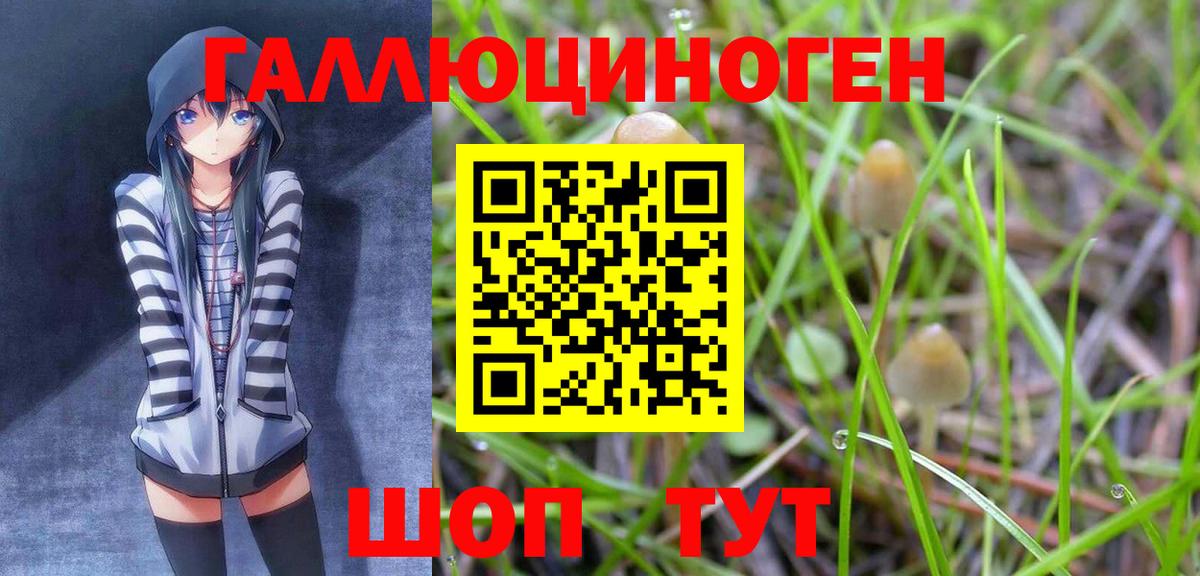 Галлюциногенные грибы GOLDEN TEACHER  Псилоцибиновые грибы Psilocybine cubensis  Вход с VPN  Новодвинск 