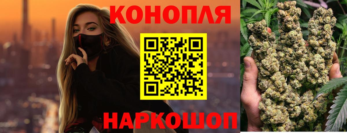 Бошки Шишки планчик Новодвинск